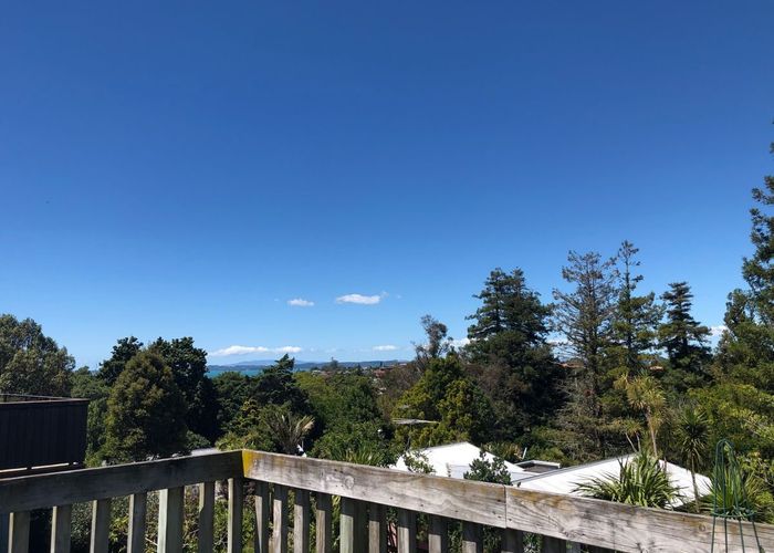  at 16A Minerva Terrace, Howick, Manukau City, Auckland