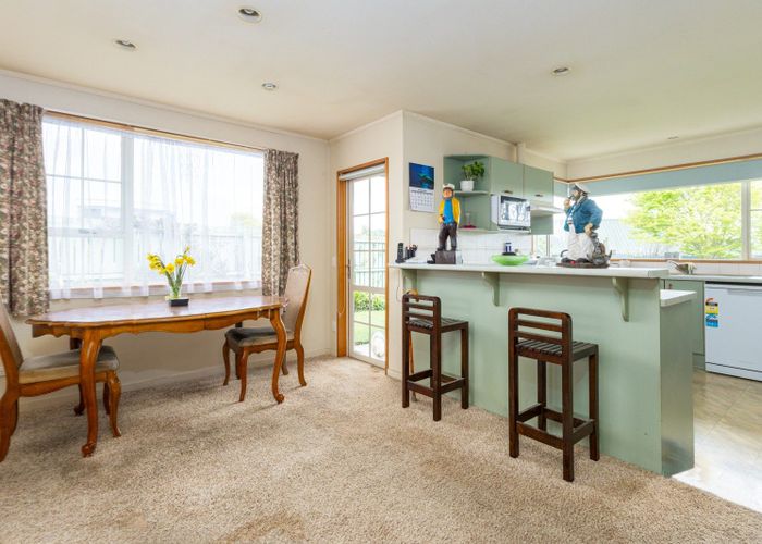  at 20 Carlisle Place, Marchwiel, Timaru