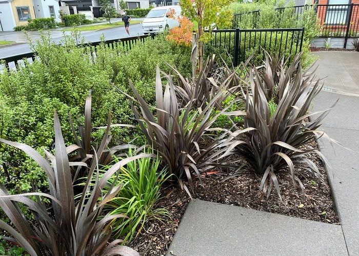  at 11 Ngakoro Road, Karaka, Franklin, Auckland