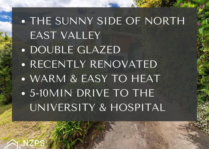  at 41 Montague Street, North East Valley, Dunedin
