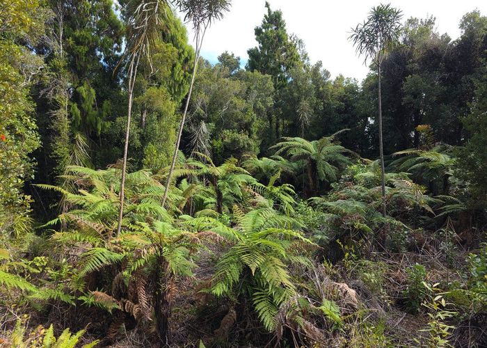  at 0 Ballarat Rise, Awatuna, Westland, West Coast