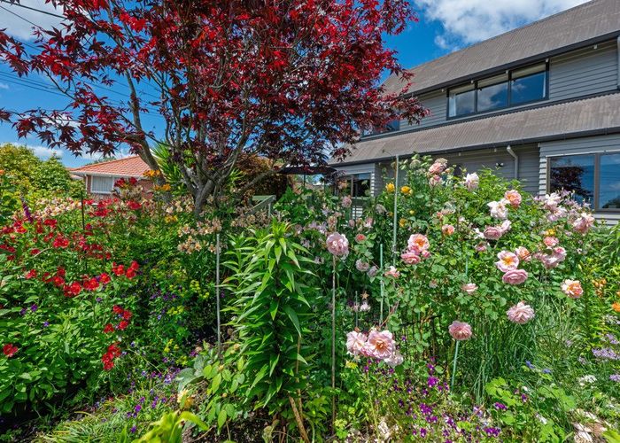  at 12 Davidson Street, Glenholme, Rotorua, Bay Of Plenty