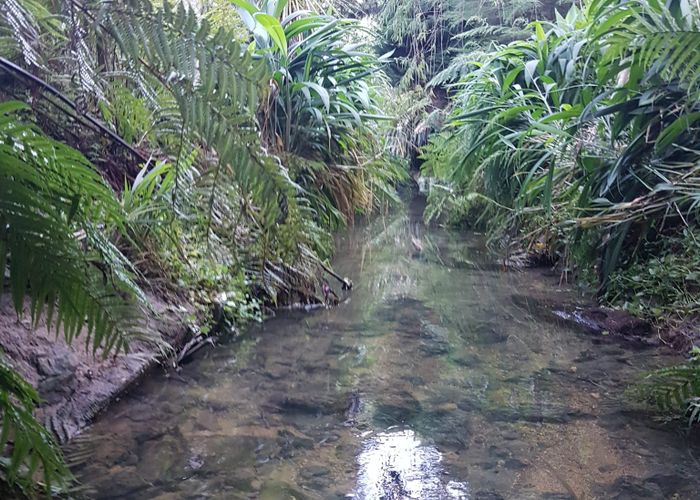  at 27 Ranfurly Place, Kamo, Whangarei, Northland