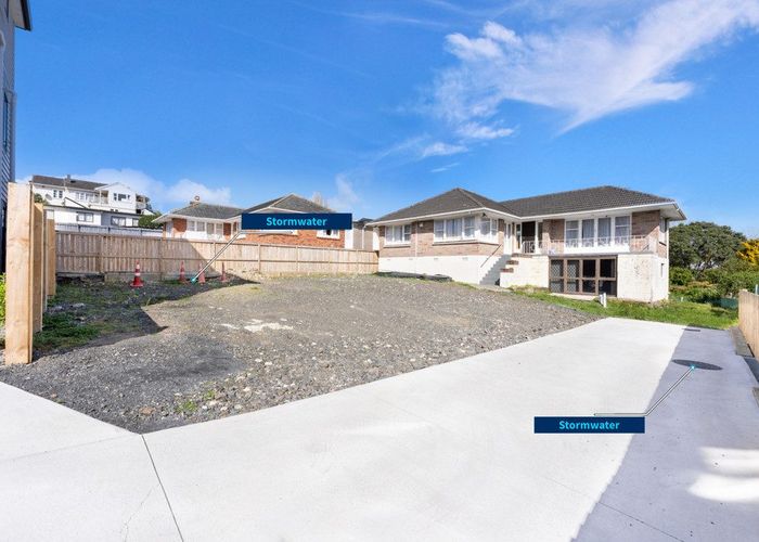  at 99 Tiverton Road, New Windsor, Auckland City, Auckland
