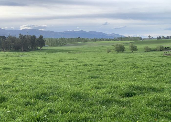  at Whitneys Road, Waimate, Waimate, Canterbury