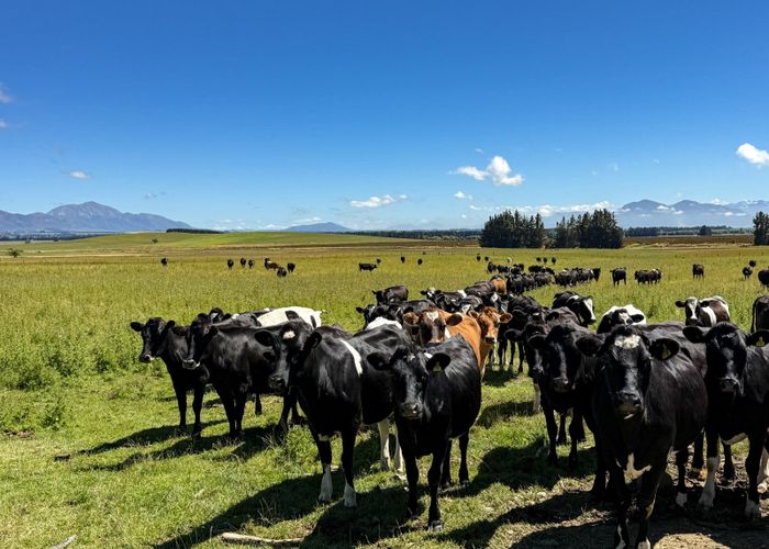  at 109 Affleck Road, Dipton West, Southland, Southland