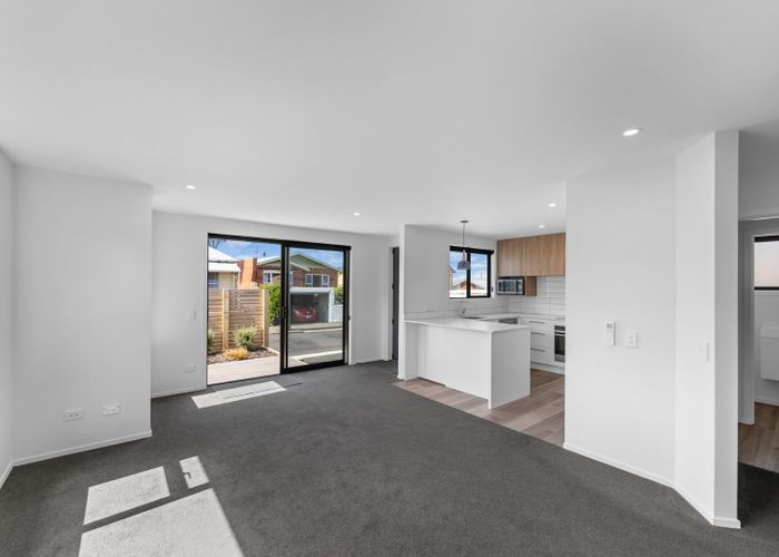  at 8 Edwin Street, Caversham, Dunedin
