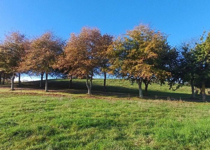  at Tuki Tuki Road, Haumoana, Hastings, Hawke's Bay