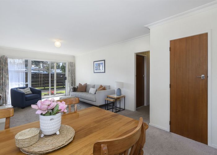  at C/16 Burrows Street, Tauranga South, Tauranga