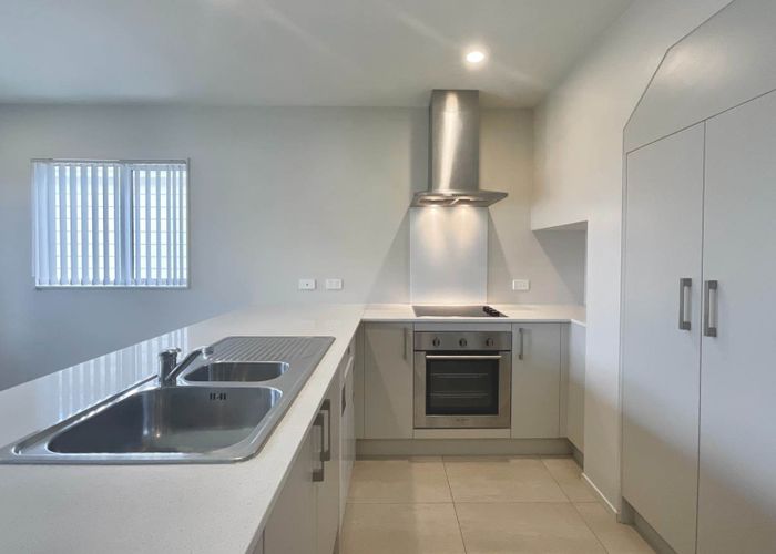  at 45 Tribute Loop, Takanini, Papakura, Auckland