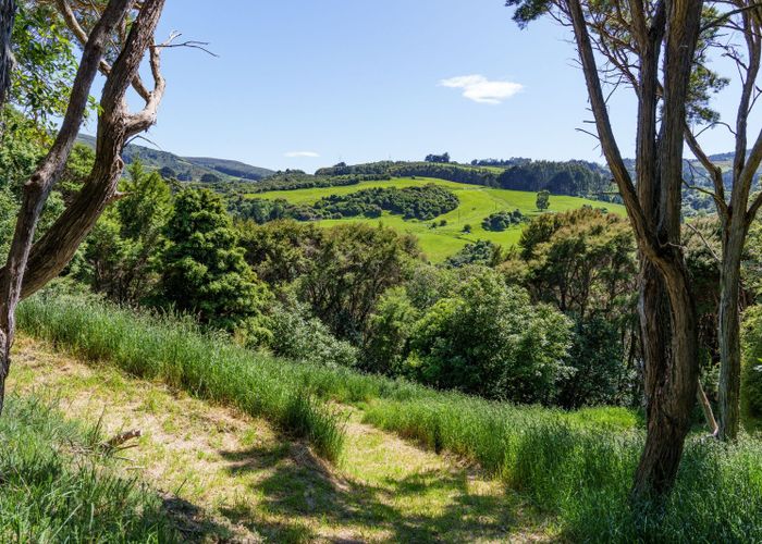  at 24 Fred Hollows Way, Glenleith, Dunedin, Otago