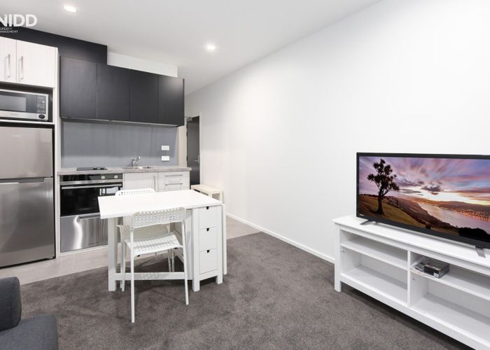  at 15/97 FILLEUL Street, Dunedin Central, Dunedin
