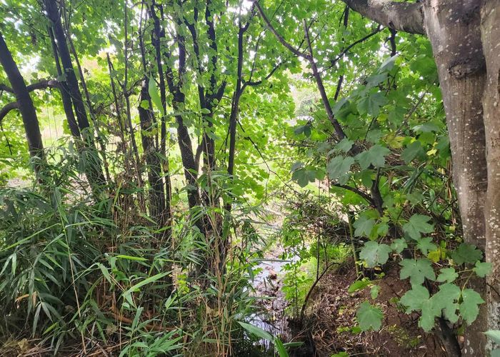  at 12 Richard Street, Riverton, Southland, Southland