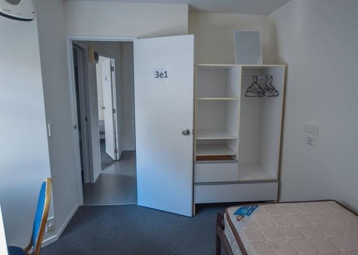  at Grafton, Auckland City, Auckland