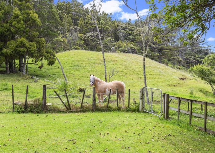 at 161 Horsman Road, Waitakere, Waitakere City, Auckland