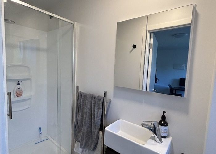  at 3/116 Williamson Ave, Grey Lynn, Auckland City, Auckland