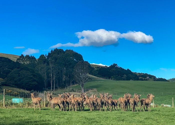  at 176 Fenham Road, Otautau, Southland, Southland