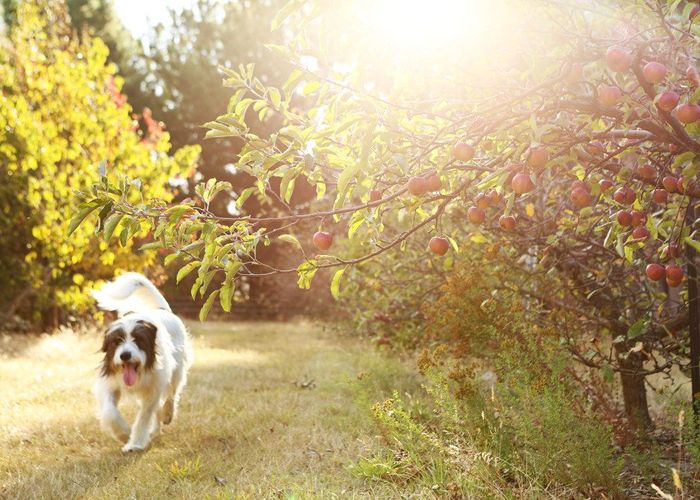  at 65 Butterfield Road, Hawea Flat, Wanaka, Otago