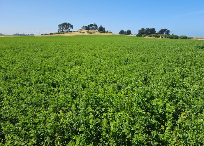  at 50 Gees Road, Kakanui