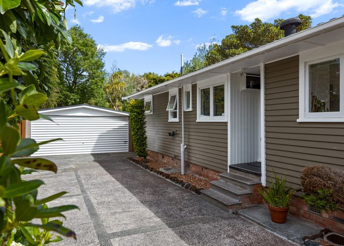  at 7 Linley Place, Hillcrest, Auckland