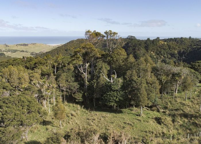  at Lot 4 Newton Road, Omapere, Far North, Northland