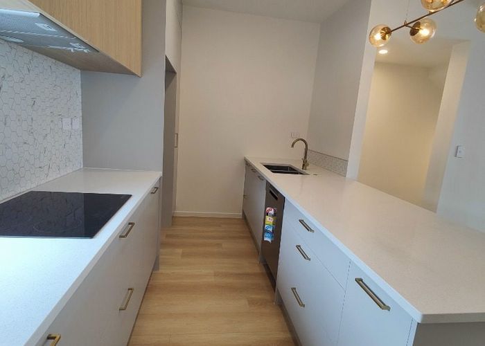  at 16 Papa Takaro Lane, Flat Bush, Manukau City, Auckland