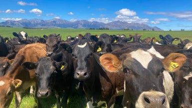  at 400 Whitestone Road, Hillside, Te Anau