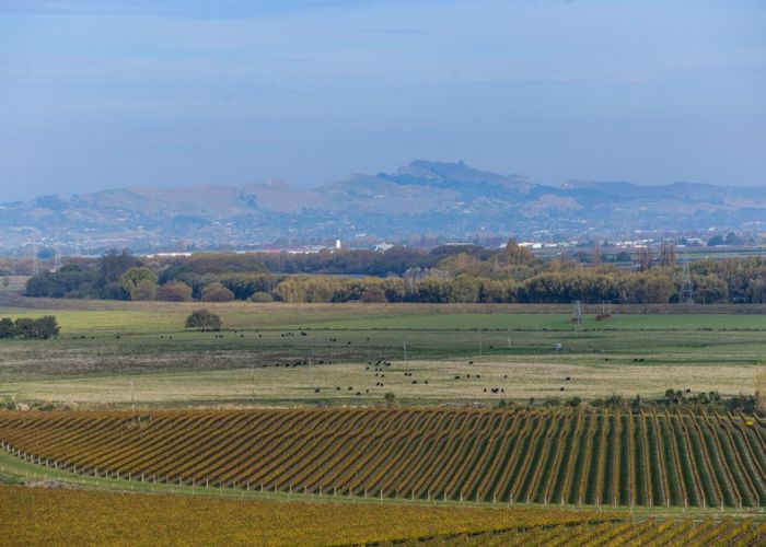  at 3/41 Omarunui Road, Waiohiki