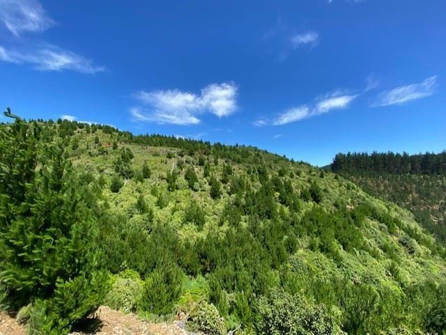  at Lot 12/669 Paekakariki Hill Road, Pauatahanui, Porirua, Wellington