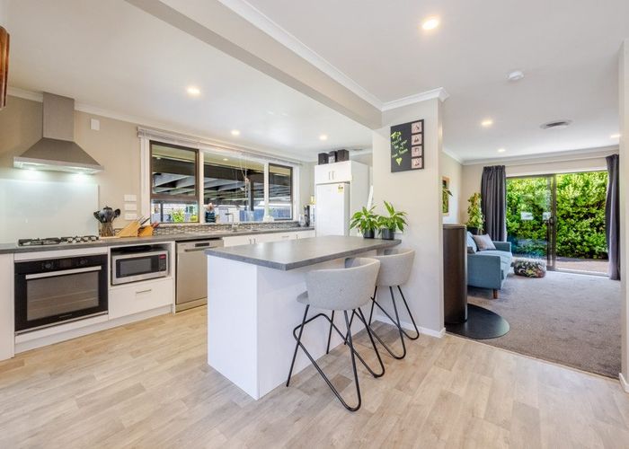  at 206 Gascoigne Street, Raureka, Hastings, Hawke's Bay