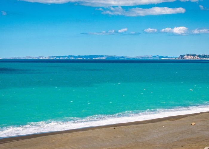  at 219 Whirinaki Road, Eskdale, Napier