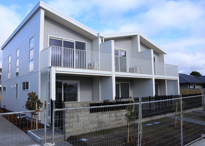  at Hayes Avenue, Gate Pa, Tauranga, Bay Of Plenty