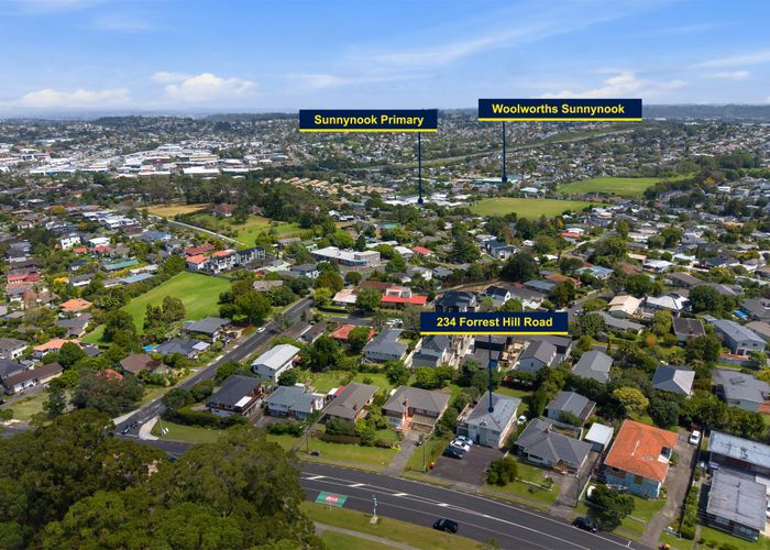  at 234 Forrest Hill Road, Forrest Hill, North Shore City, Auckland