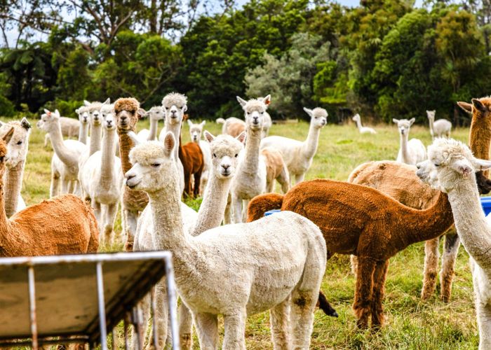  at 680 Hurford Road, Hurford, New Plymouth