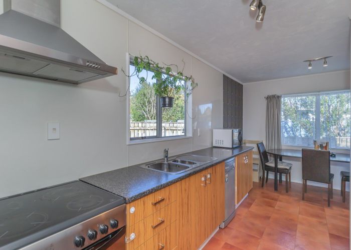 at 41 Green Avenue, Levin, Levin
