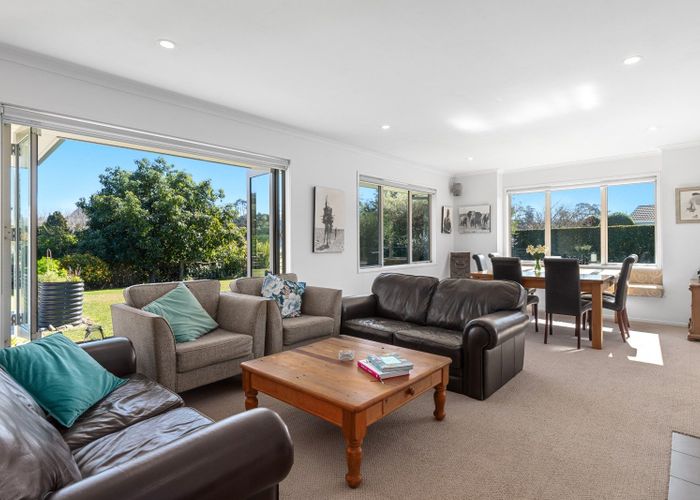  at 15 Pinasta Place, Tauranga