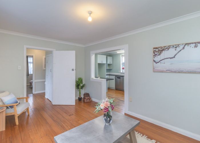  at 12 Clark Street, Levin, Levin
