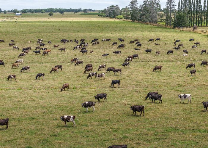  at 133 Hopai East Road, Pipiroa, Hauraki, Waikato