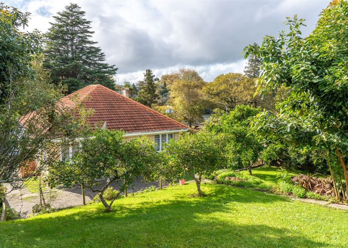  at 12 Tisdall Street, Hamilton Central, Hamilton