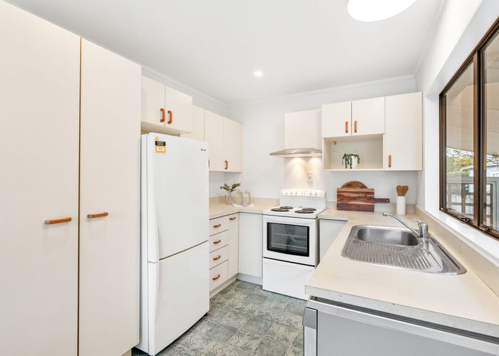  at 20A Moa Road, Point Chevalier, Auckland City, Auckland