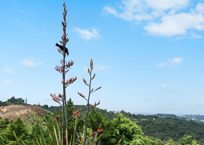  at 101 Waitokitoki Way, Tutukaka, Whangarei, Northland
