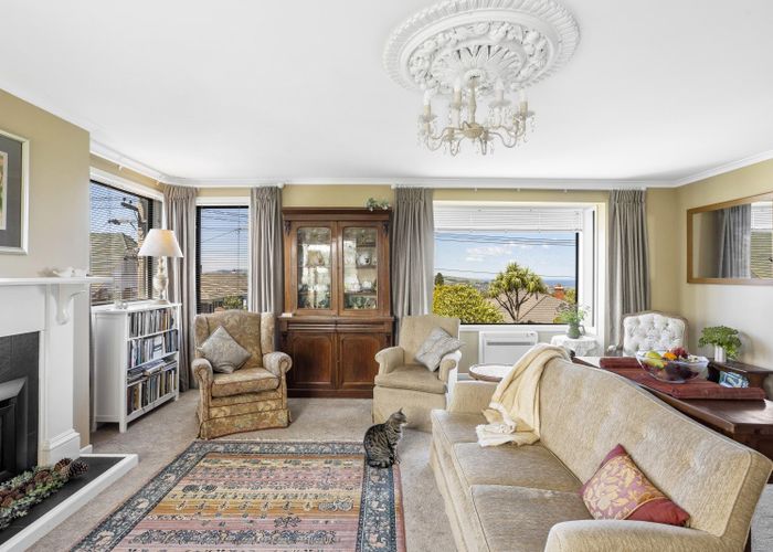  at 6 Bruce Street, Roslyn, Dunedin, Otago