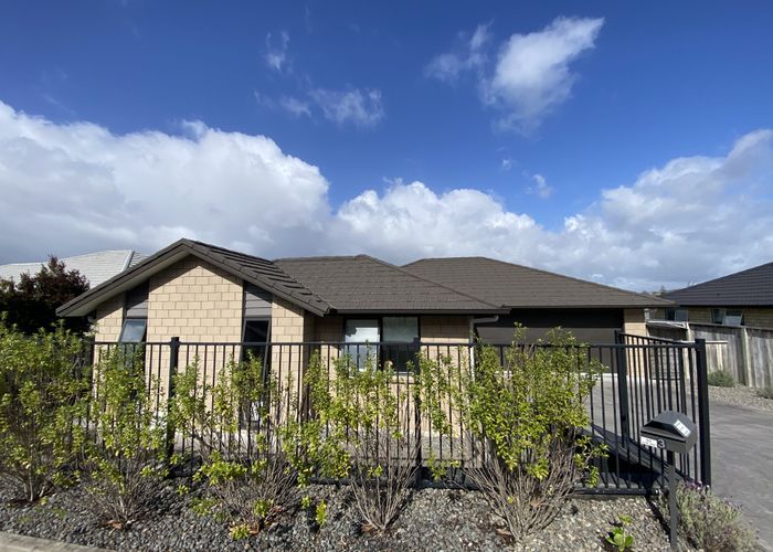  at Stable Way, Brookfield, Tauranga, Bay Of Plenty