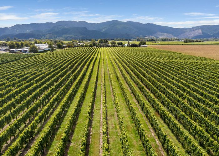  at 196 Rapaura Road, Rapaura, Marlborough, Marlborough