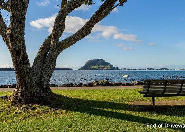  at 61A Beach Road, Otumoetai, Tauranga