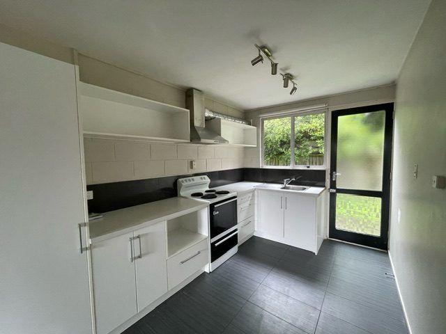  at 101 Nursery Road, Phillipstown, Christchurch City, Canterbury