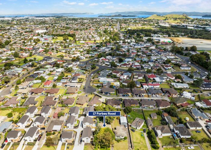  at 17 Forbes Road, Favona, Auckland