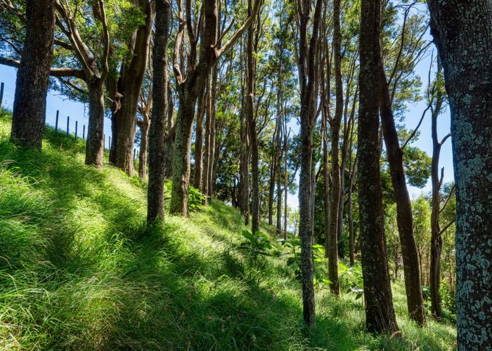  at 361 Kaitemako Road, Welcome Bay, Tauranga, Bay Of Plenty