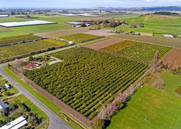  at 47 Patutahi Road, Gisborne