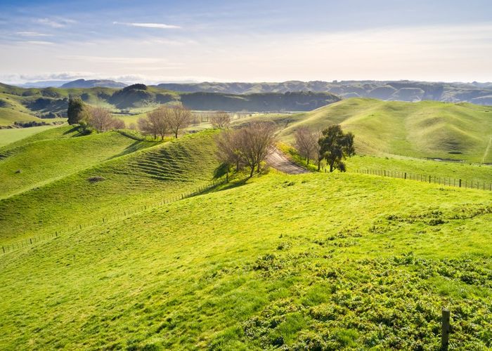  at 501 Kawera Road, Okawa, Hastings